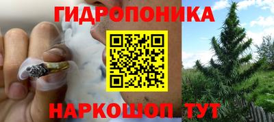 гидропоника Камышлов