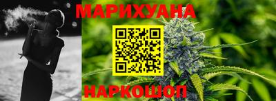 гидропоника Камышлов