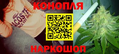 гидропоника Камышлов