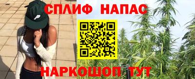 гидропоника Камышлов